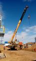 Сдам в аренду автокран 25тн 31м стрела, вездеход